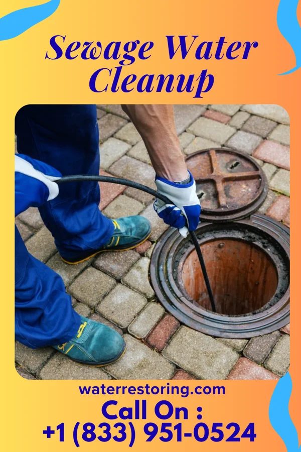 Sewage Water Cleanup in Raemon, NC
