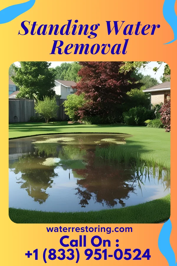 Standing Water Removal in Raemon, NC